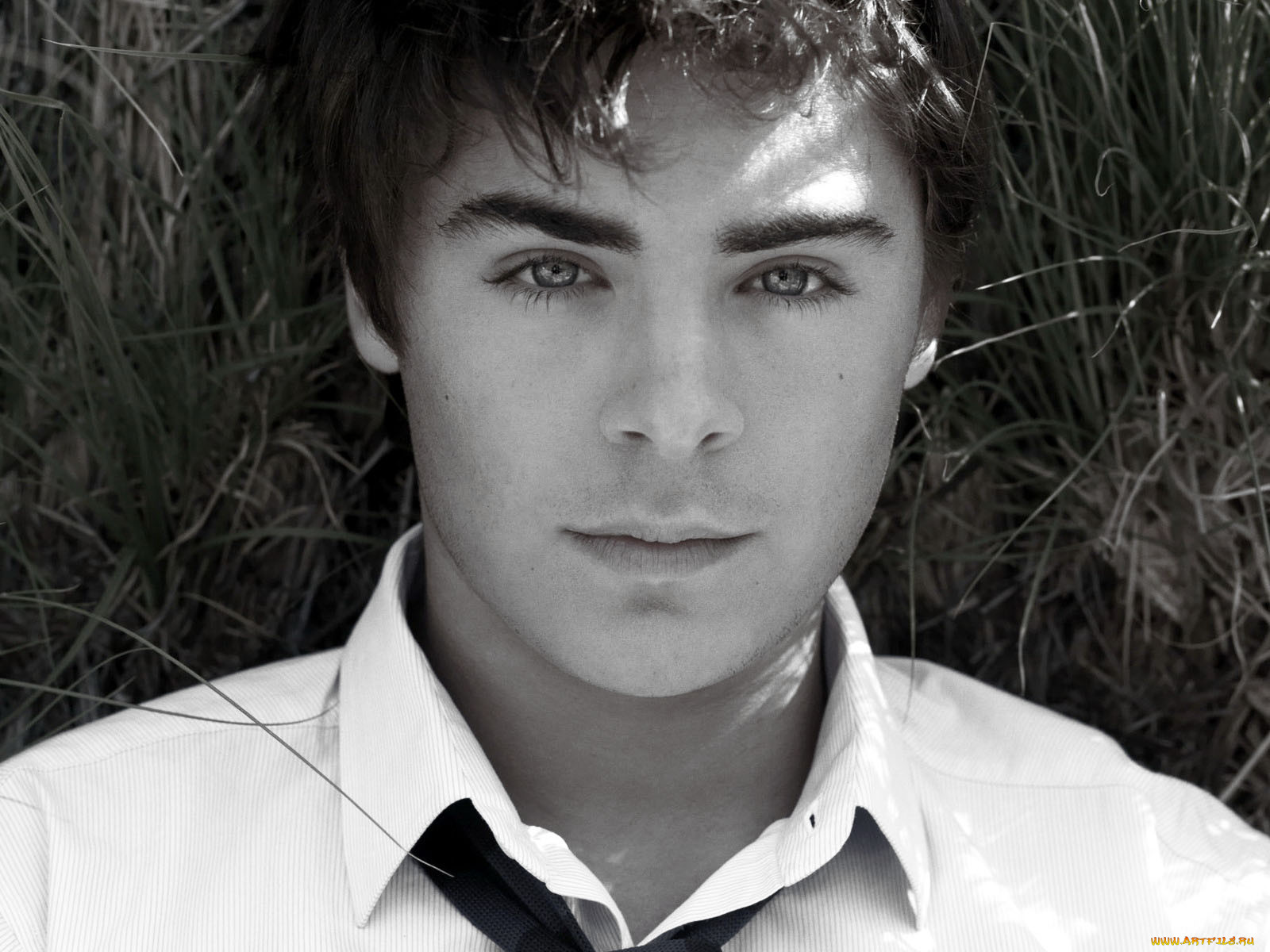 zac, efron, 